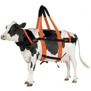 Kaya Safety Bovine Rescue Büyük Baş Hayvan Kemeri 1