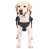 Kaya Safety DH-30 Köpek Kurtarma Kemeri 1